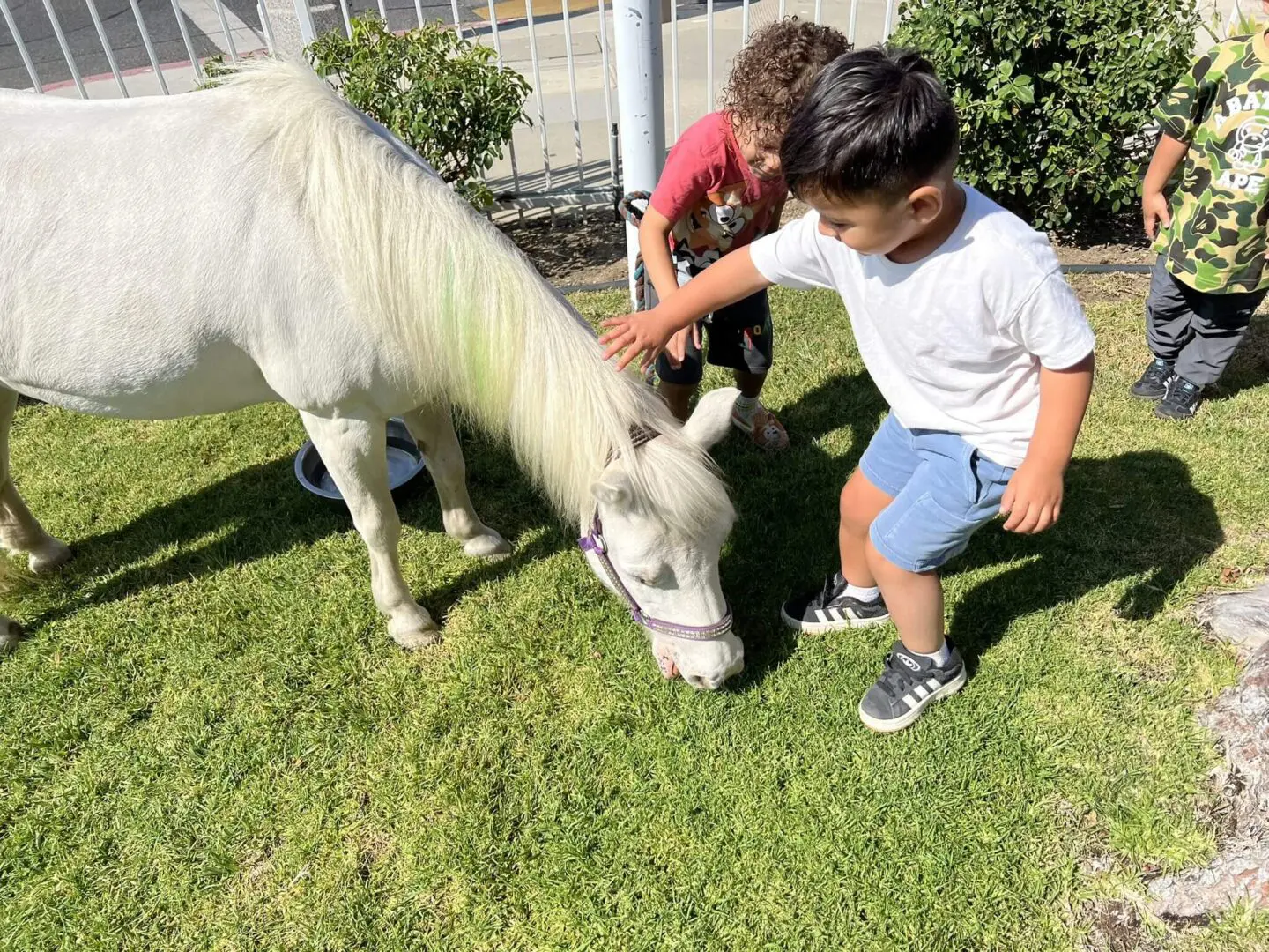 Children petting a small white horse outside.